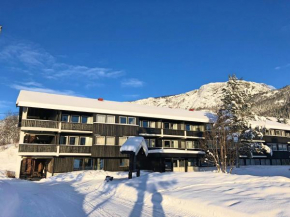 Отель Storehorn Apartments, Хемседал